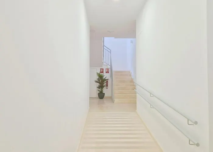 Bhost - Patos * コルドバ